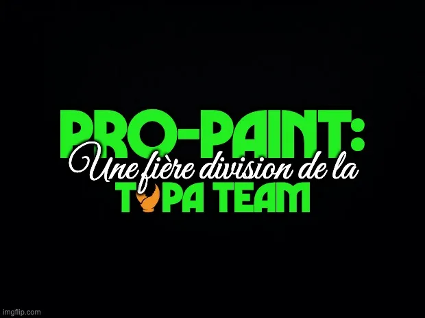 Onglet division PRO-PAINT