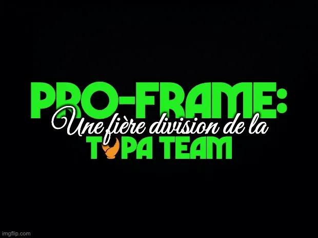 Onglet division PRO-FRAME