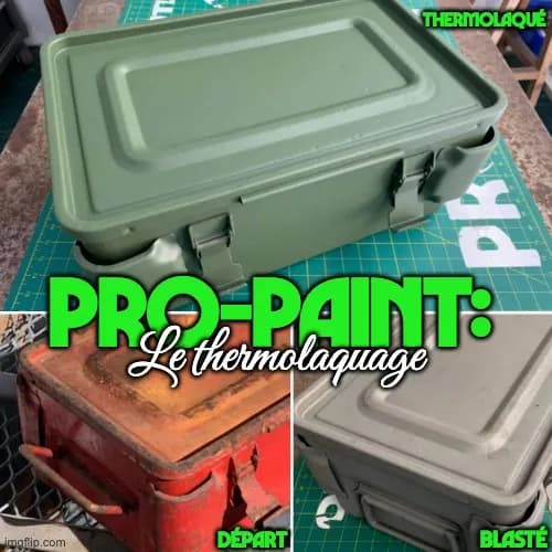 PRO-PAINT — chantier