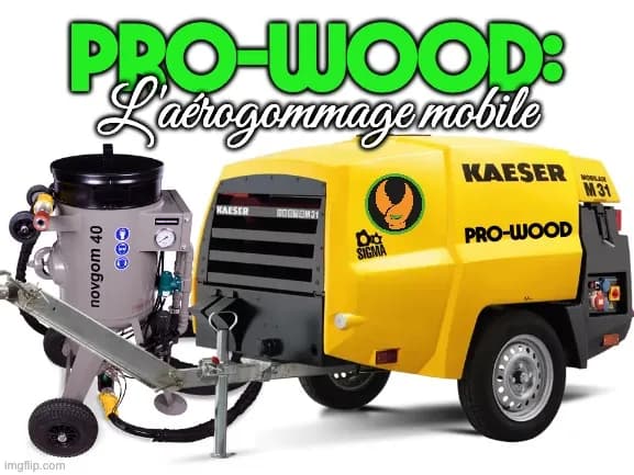 PRO-WOOD — L'aérogommage mobile